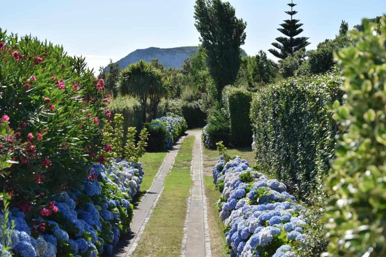 Quinta Da Meia Eira Castelo Branco  Eksteriør bilde