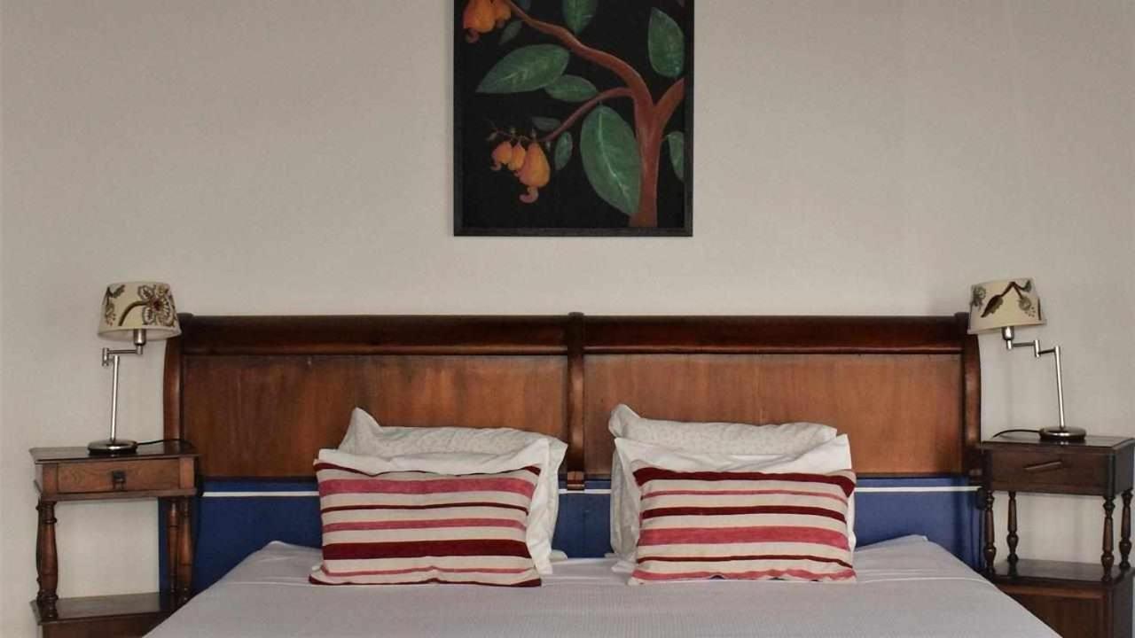 Quinta Da Meia Eira Castelo Branco  Eksteriør bilde