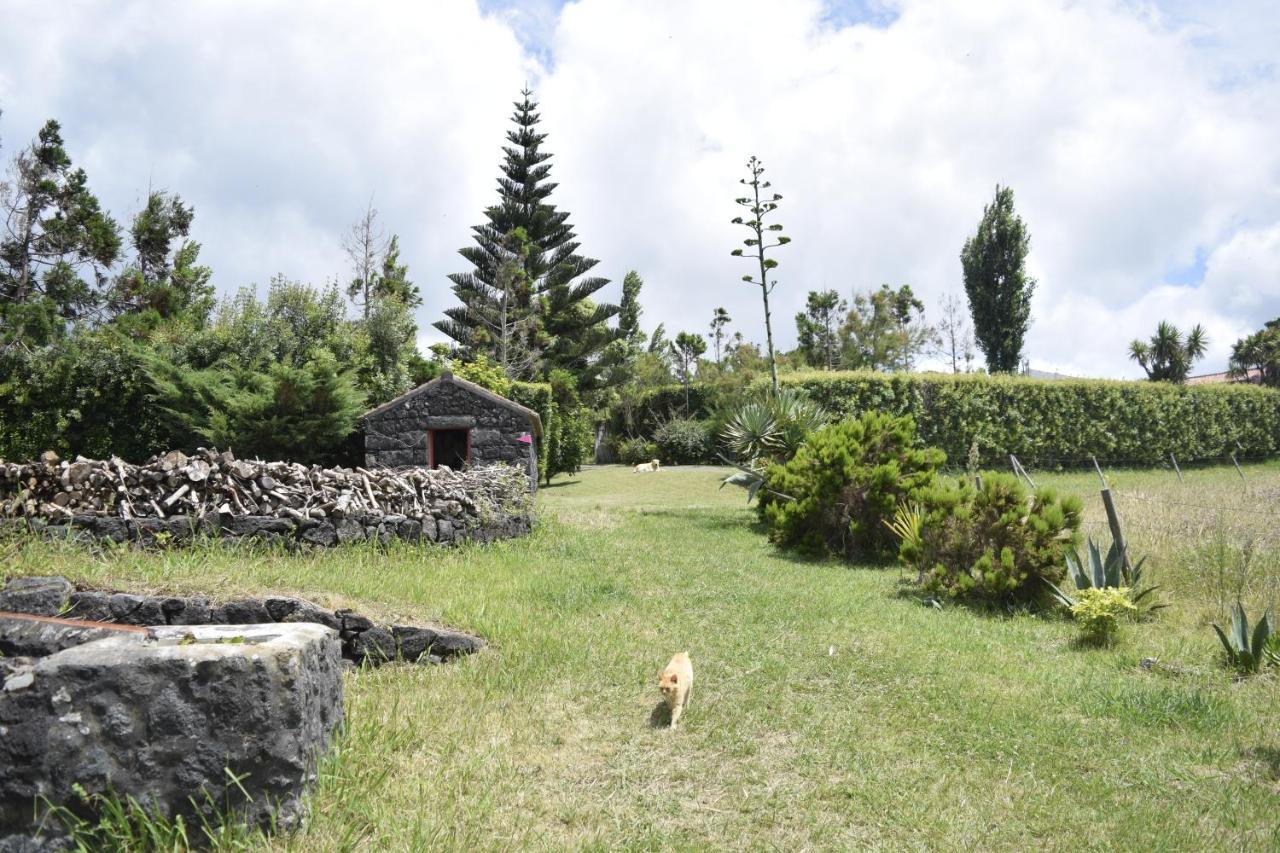Quinta Da Meia Eira Castelo Branco  Eksteriør bilde