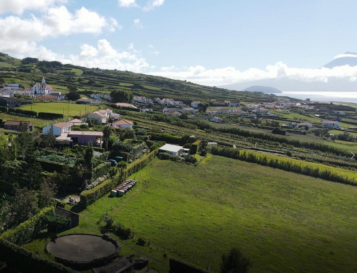 Quinta Da Meia Eira Castelo Branco  Eksteriør bilde