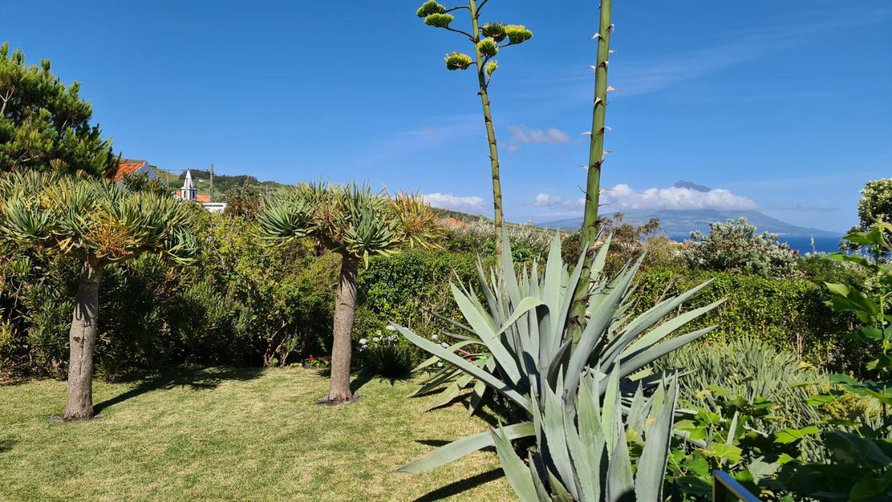 Quinta Da Meia Eira Castelo Branco  Eksteriør bilde