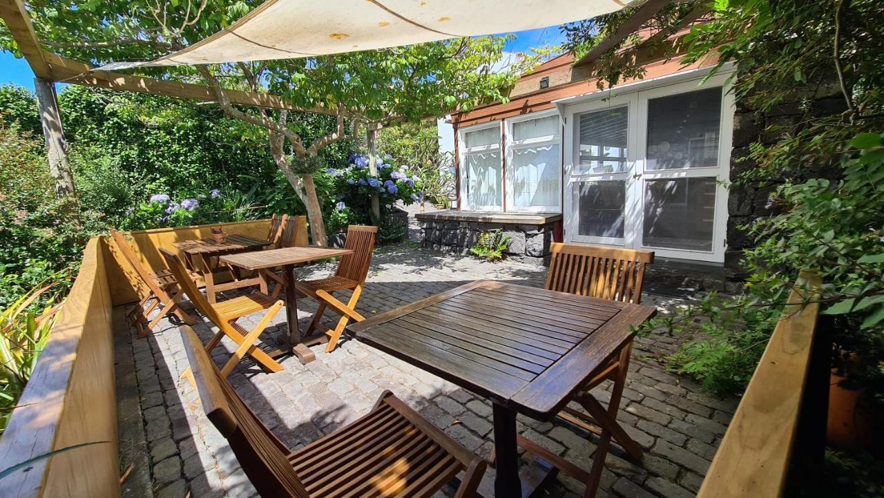 Quinta Da Meia Eira Castelo Branco  Eksteriør bilde