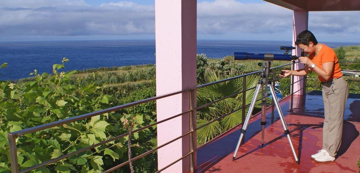 Quinta Da Meia Eira Castelo Branco  Eksteriør bilde