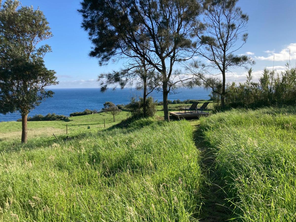 Quinta Da Meia Eira Castelo Branco  Eksteriør bilde