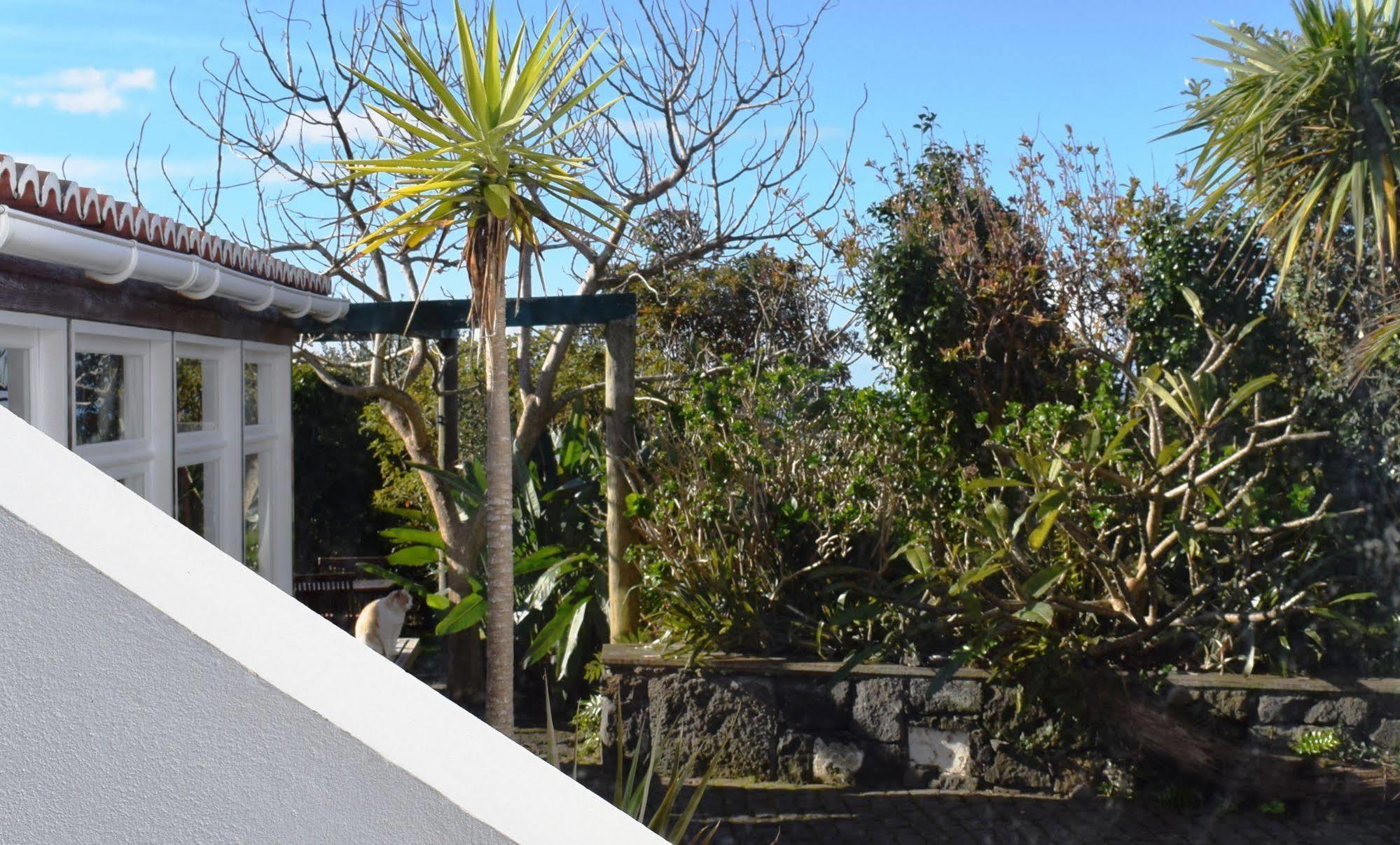 Quinta Da Meia Eira Castelo Branco  Eksteriør bilde